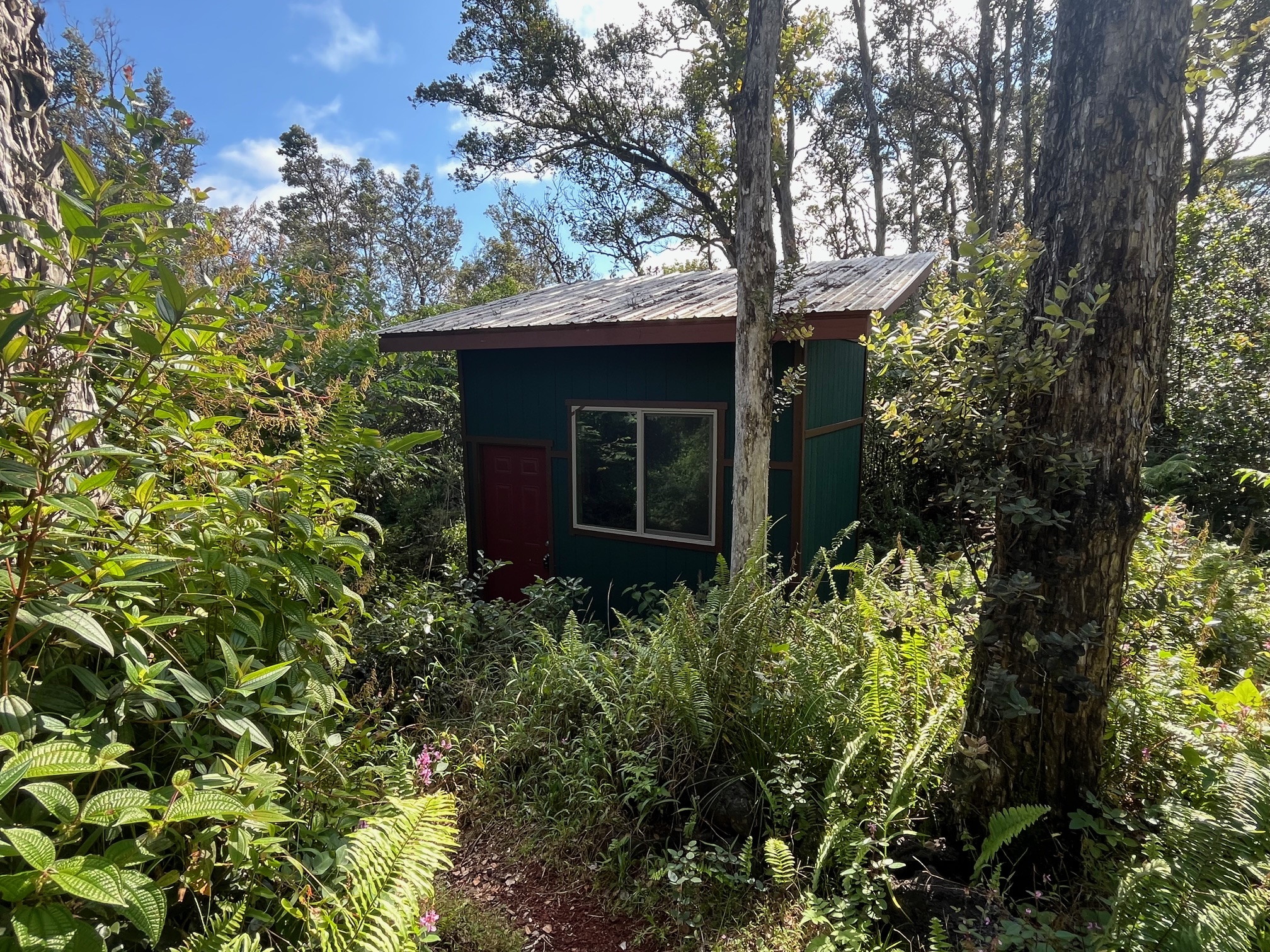 12-4275 Upper Puna Road Pahoa, HI 96778 - Photo 17 of 22 front view of a house with a tree