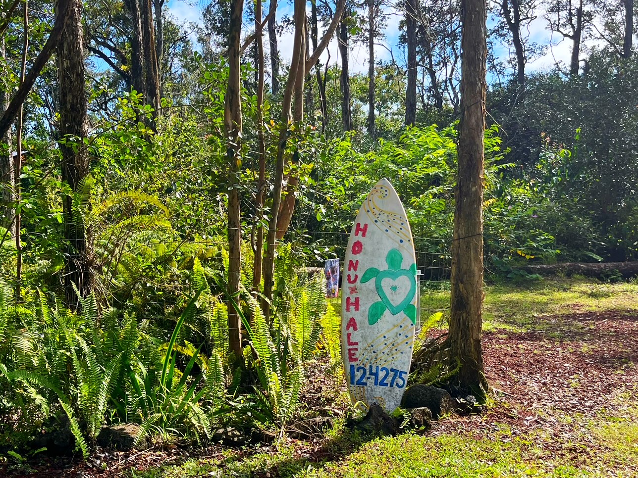 12-4275 Upper Puna Road Pahoa, HI 96778 - Photo 20 of 22 a view of a pathway with plants