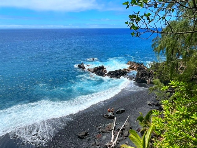 12-4275 Upper Puna Road Pahoa, HI 96778 - Photo 22 of 22 a view of a yard with a tree