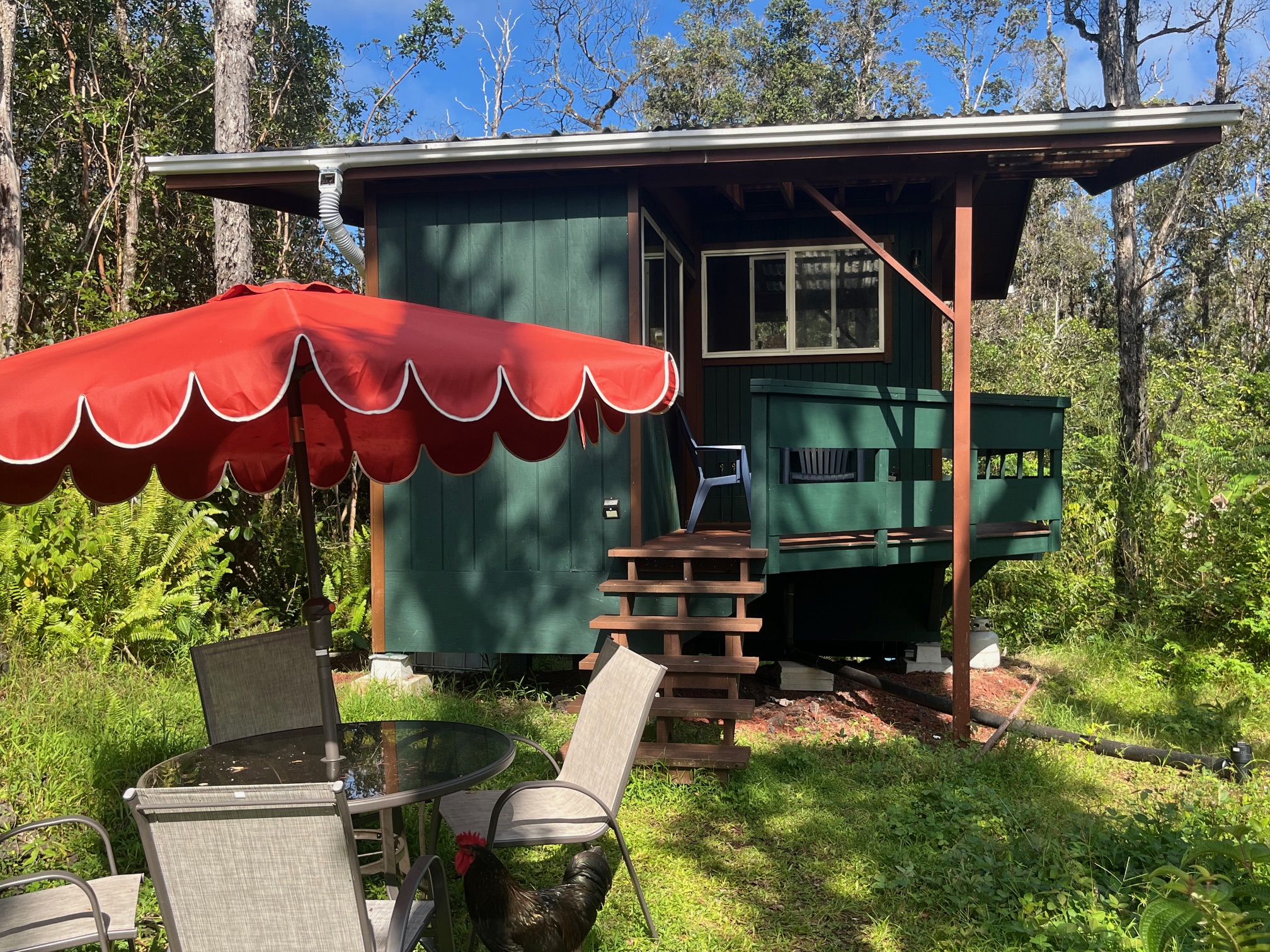12-4275 Upper Puna Road Pahoa, HI 96778 - Photo 9 of 22 a front view of a house with garden