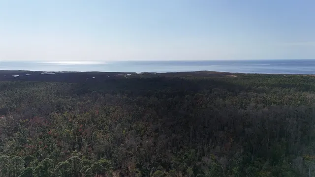 $25,000 | Vacant West Royal Oak Drive, Perry, FL 32348