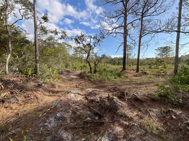 $25,000 | Vacant West Royal Oak Drive, Perry, FL 32348