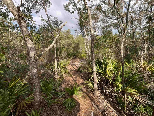 $25,000 | Vacant West Royal Oak Drive, Perry, FL 32348