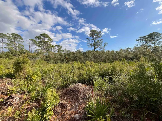 $25,000 | Vacant West Royal Oak Drive, Perry, FL 32348