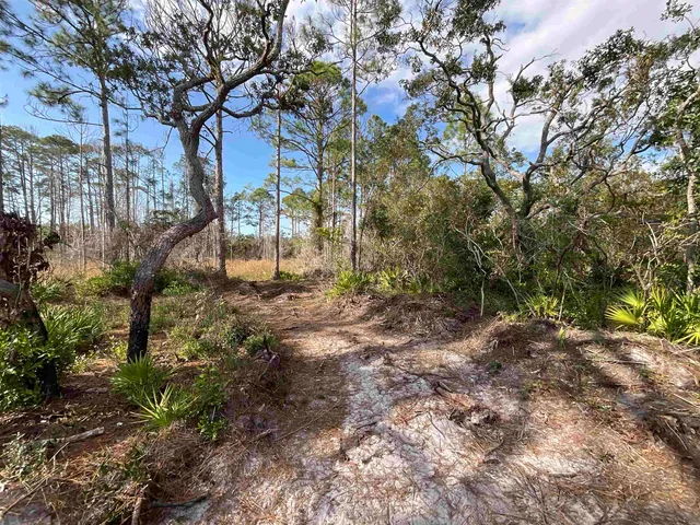 $25,000 | Vacant West Royal Oak Drive, Perry, FL 32348