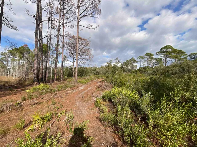 $25,000 | Vacant West Royal Oak Drive, Perry, FL 32348