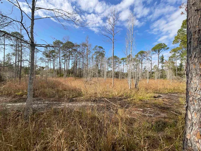 $25,000 | Vacant West Royal Oak Drive, Perry, FL 32348