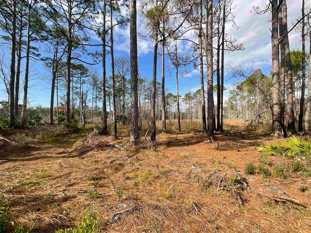 $25,000 | Vacant West Royal Oak Drive, Perry, FL 32348