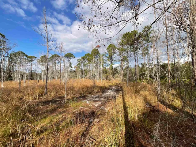 $25,000 | Vacant West Royal Oak Drive, Perry, FL 32348