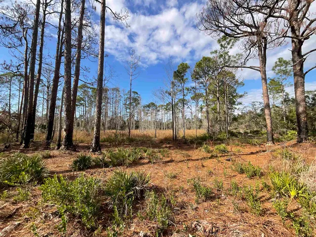 $25,000 | Vacant West Royal Oak Drive, Perry, FL 32348