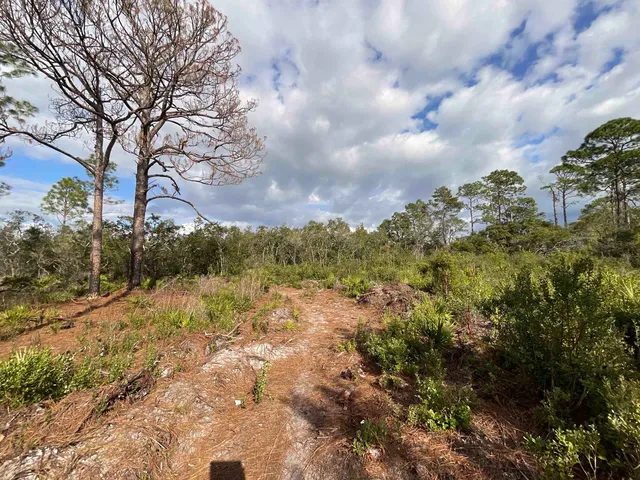 $25,000 | Vacant West Royal Oak Drive, Perry, FL 32348