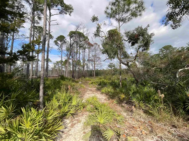 $25,000 | Vacant West Royal Oak Drive, Perry, FL 32348