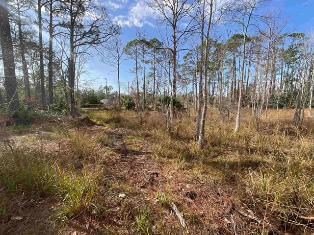 $25,000 | Vacant West Royal Oak Drive, Perry, FL 32348