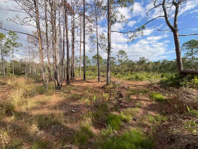 $25,000 | Vacant West Royal Oak Drive, Perry, FL 32348