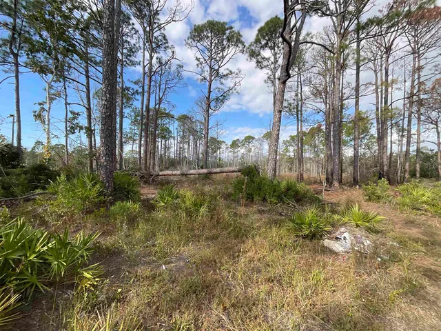 $25,000 | Vacant West Royal Oak Drive, Perry, FL 32348