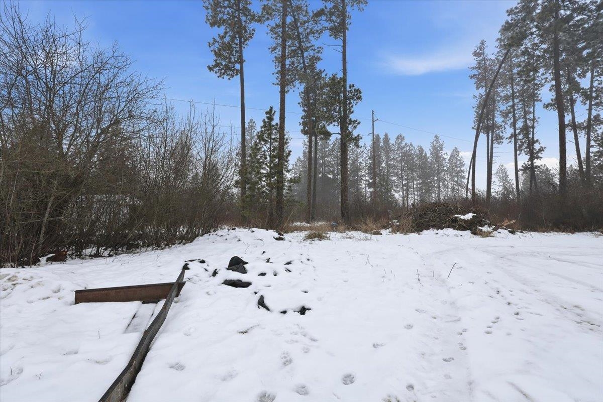 305 River Road Usk, WA 99180 - Photo 26 of 42