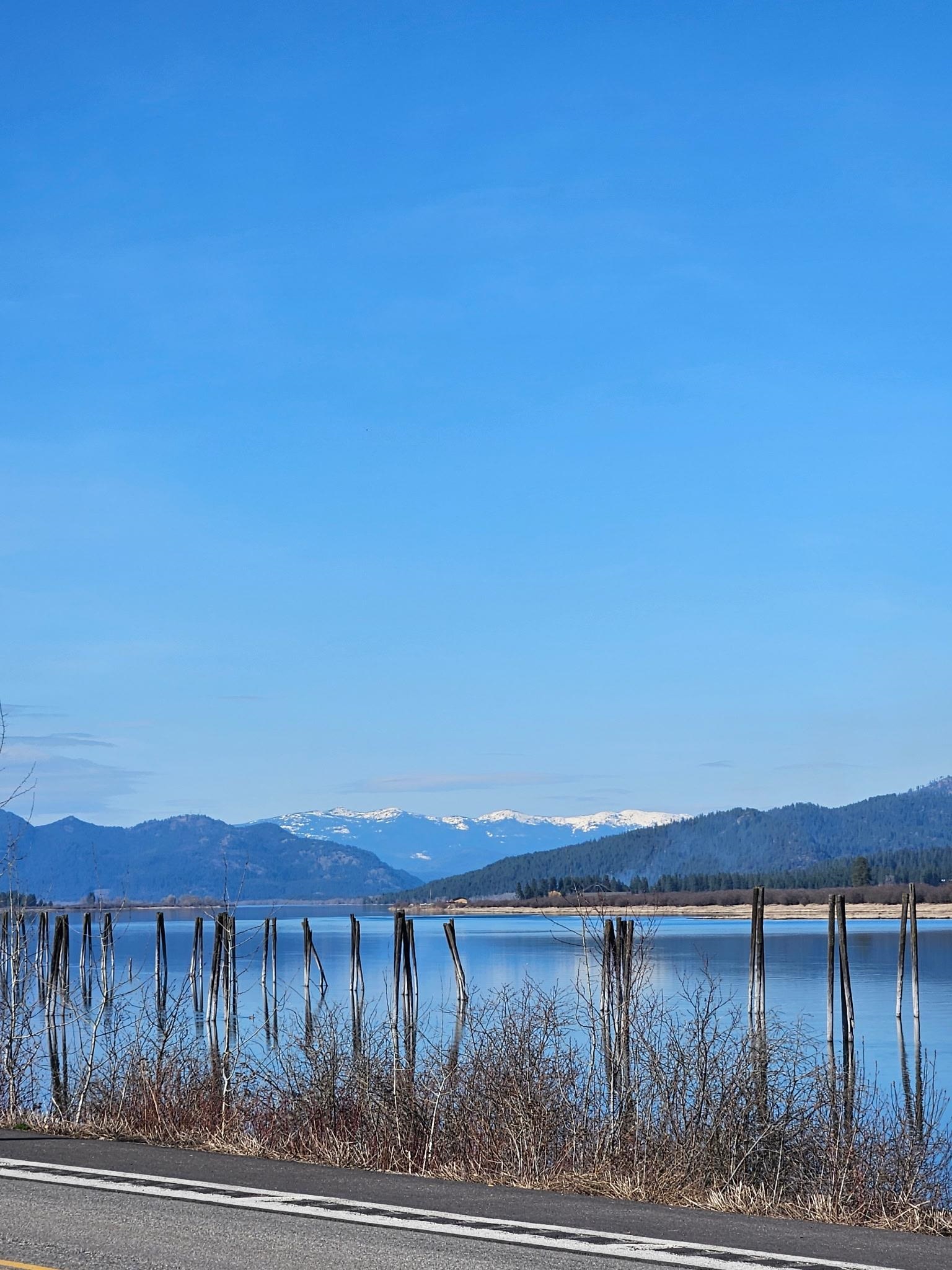 305 River Road Usk, WA 99180 - Photo 31 of 42