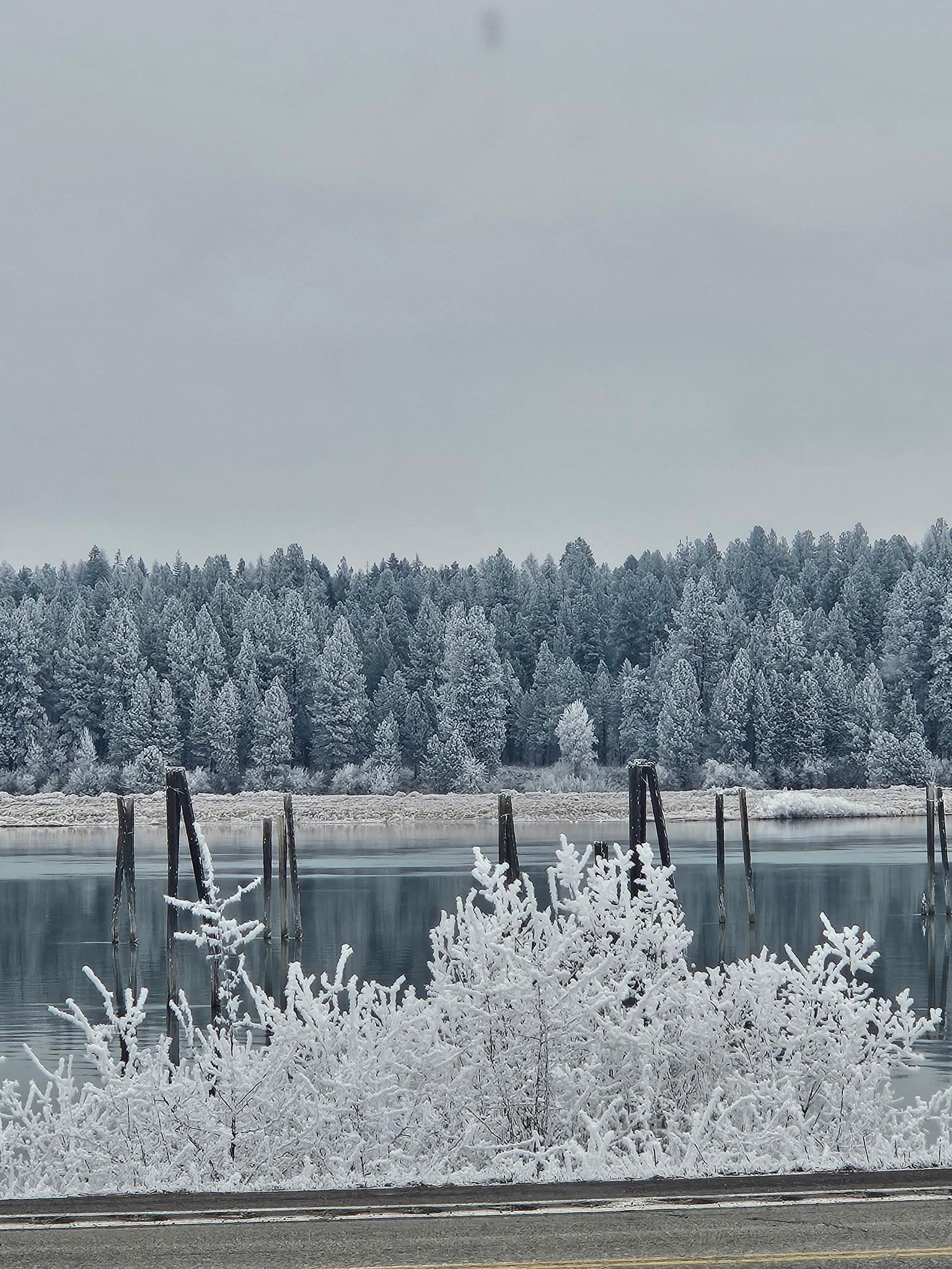 305 River Road Usk, WA 99180 - Photo 41 of 42