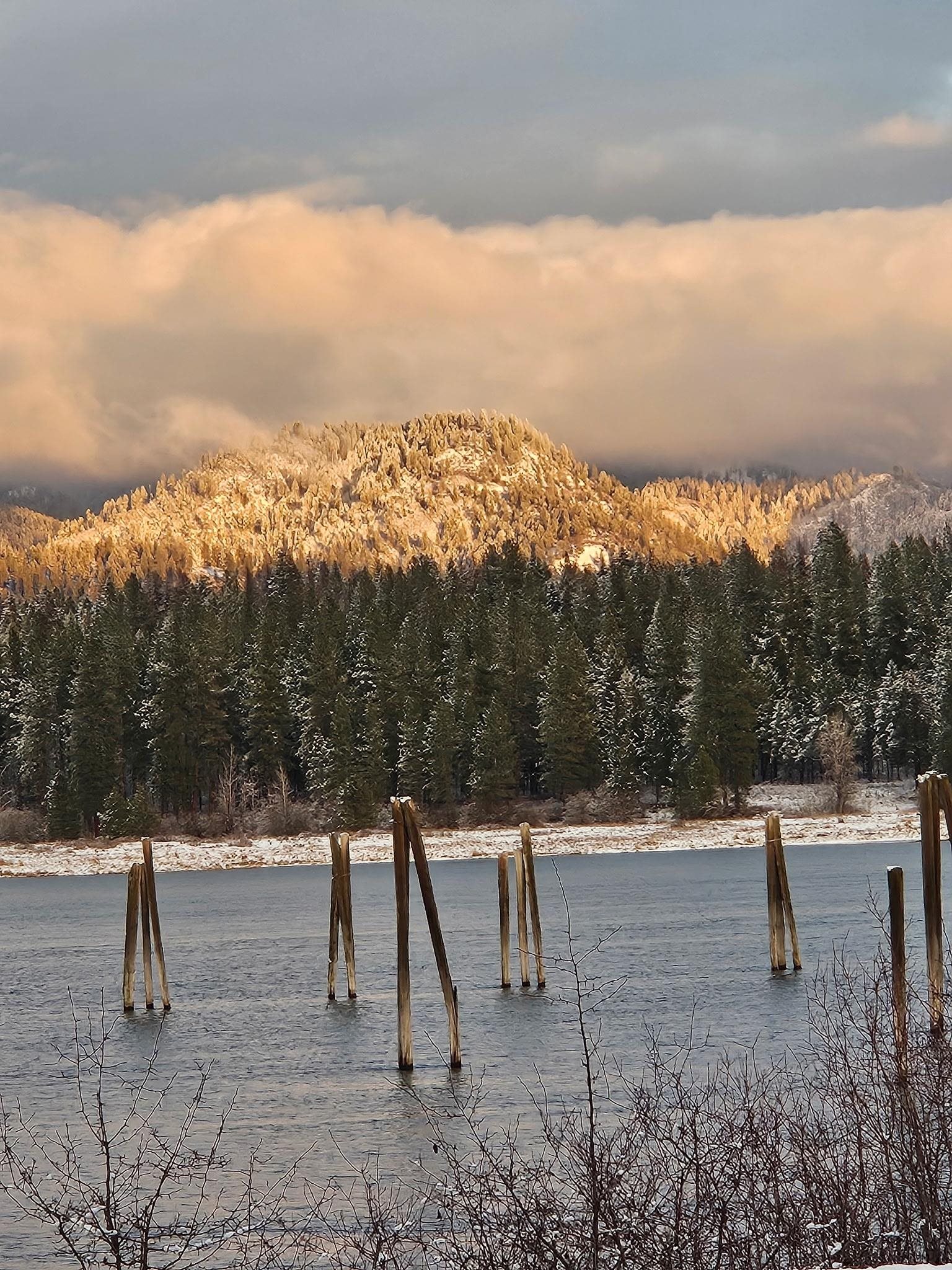 305 River Road Usk, WA 99180 - Photo 42 of 42