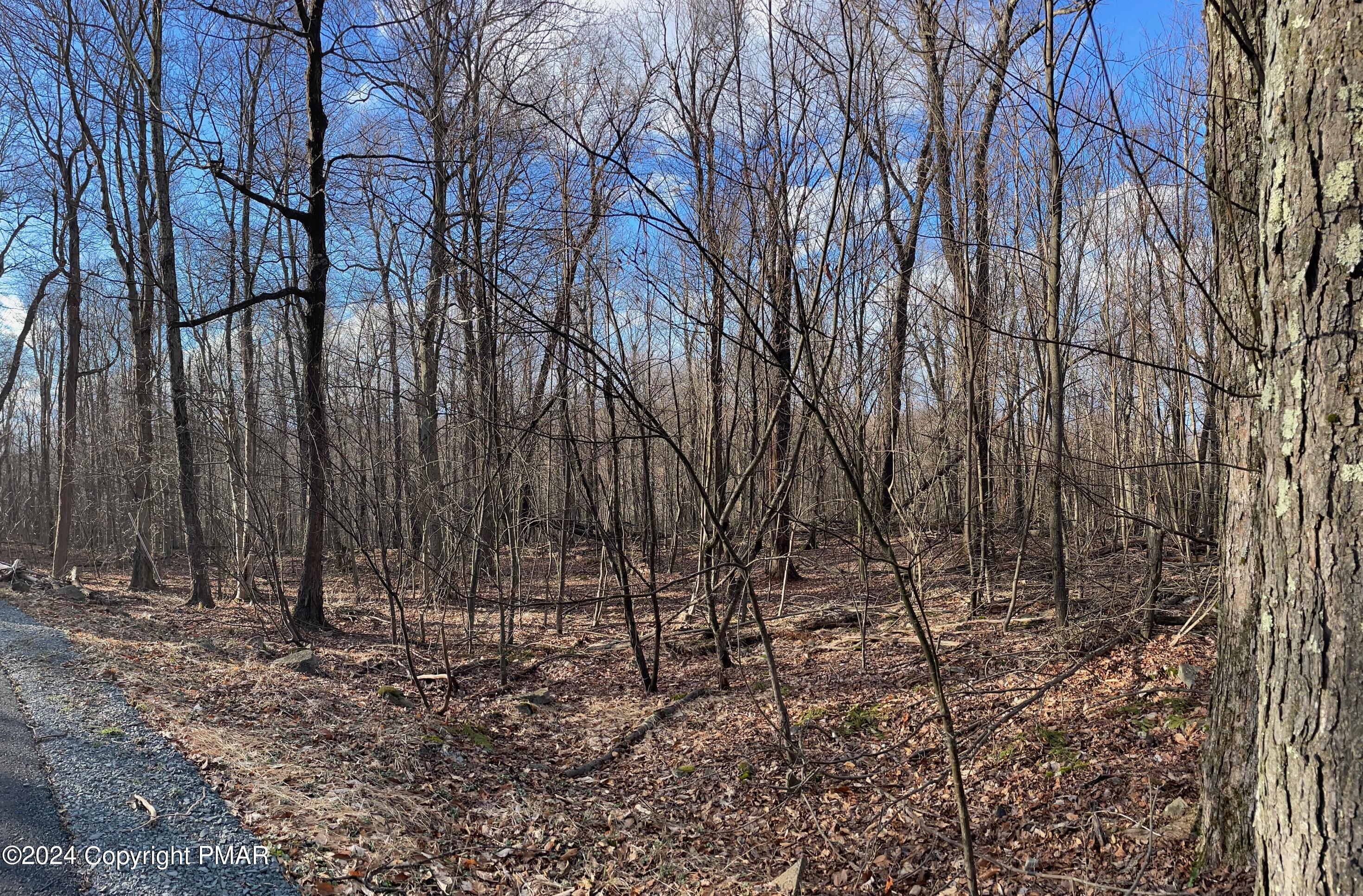 a view of covered with snow
