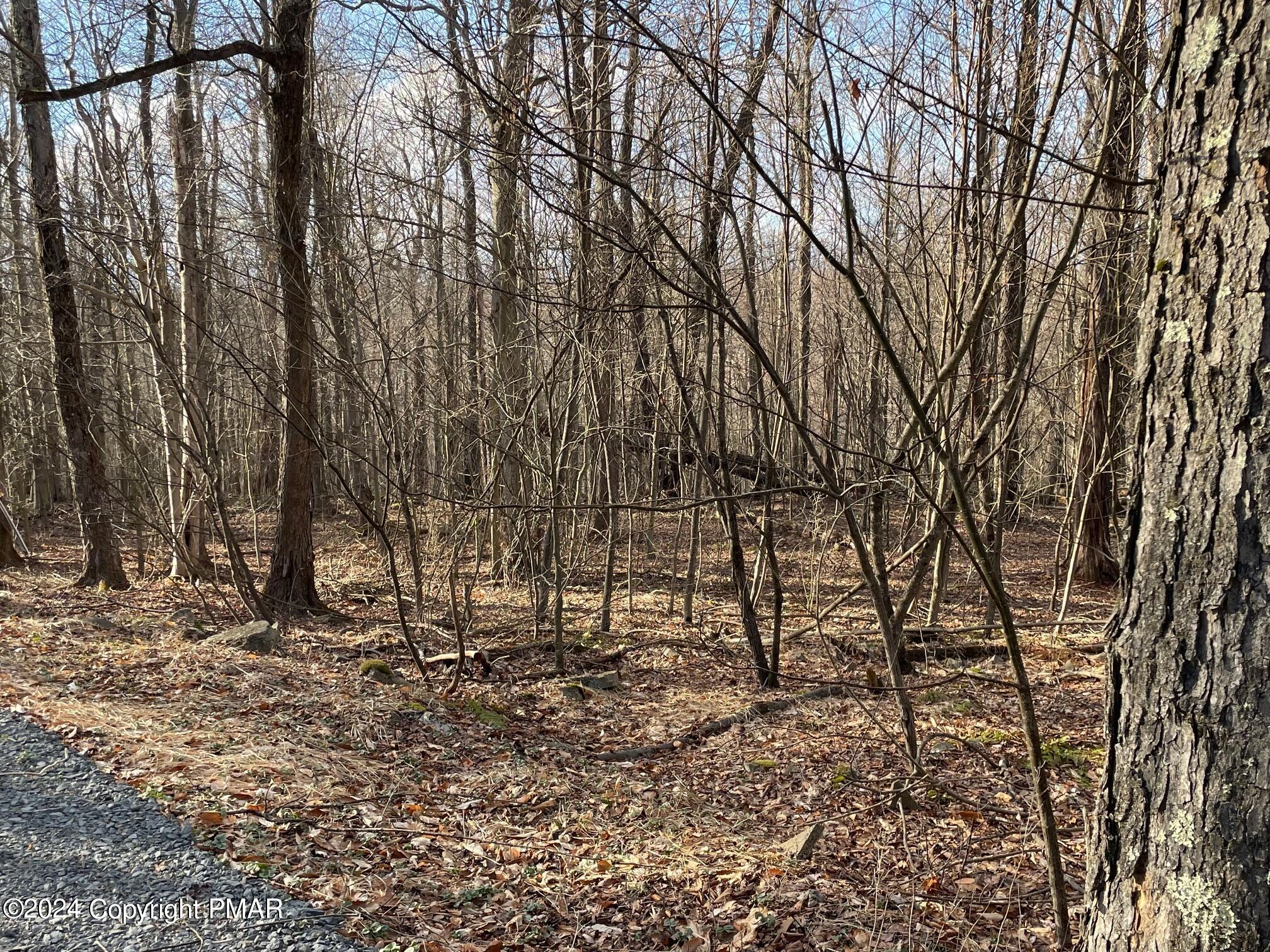 63 Ridge Road Newfoundland, PA 18445 - Photo 2 of 5 a view of a backyard