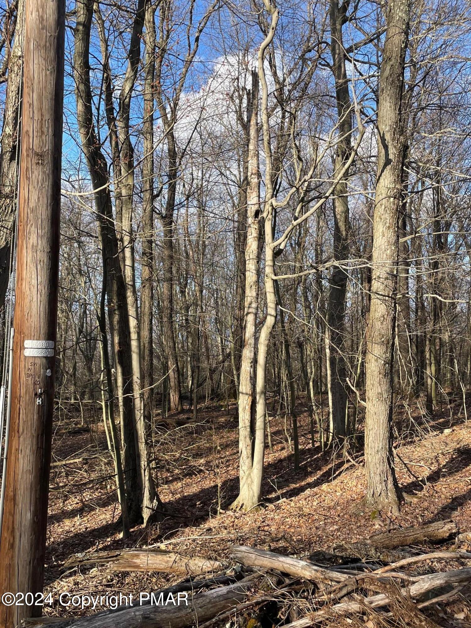 63 Ridge Road Newfoundland, PA 18445 - Photo 4 of 5 a backyard of a house