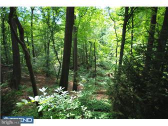 562 Spring Hollow Lane Media, PA 19063 - Photo 11 of 12 View