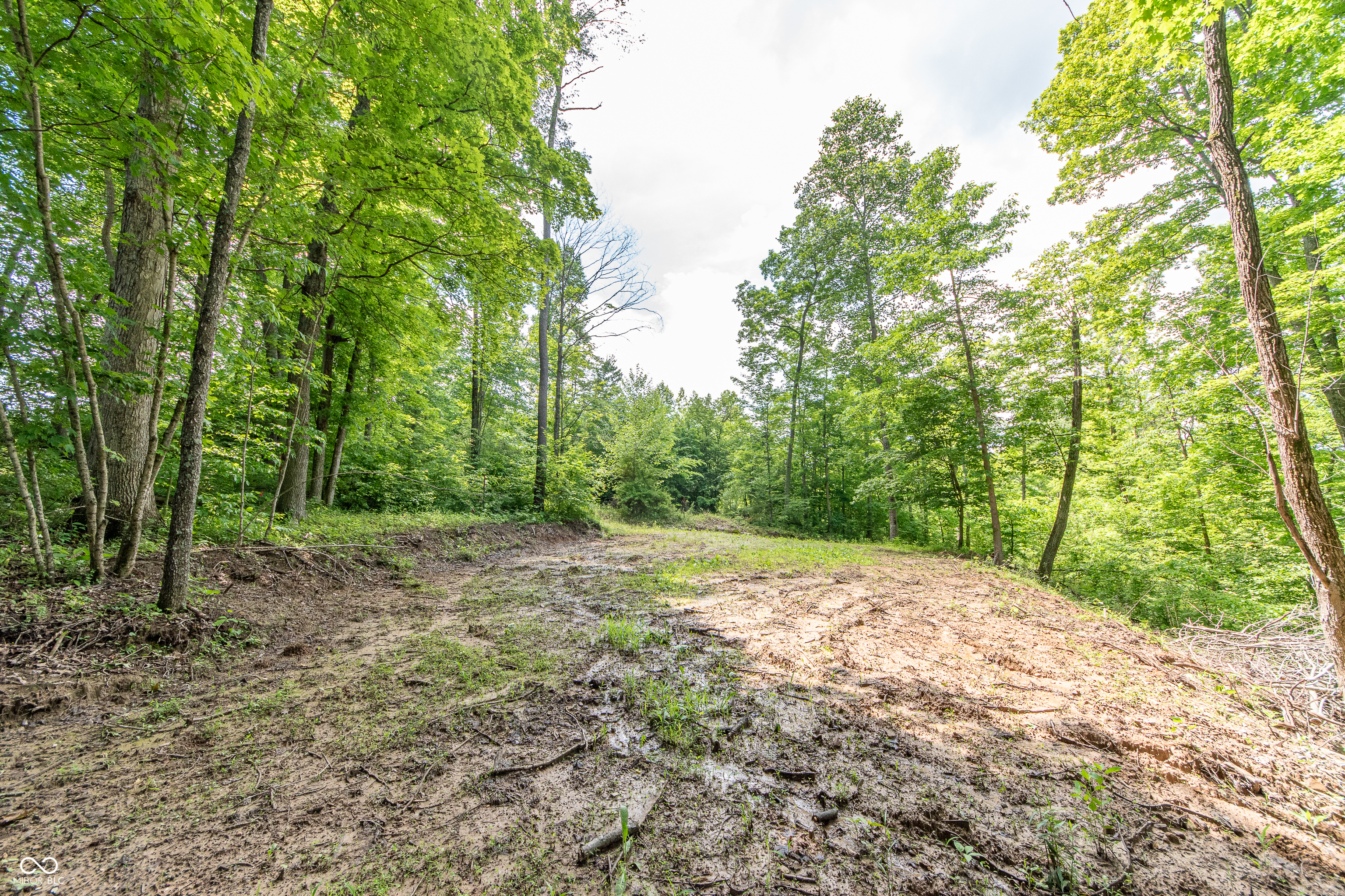 6753 Mt Moriah Road Nineveh, IN 46164 - Photo 12 of 14