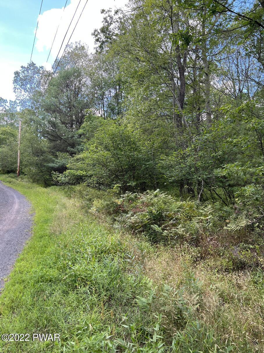 Lot 4 Fox Rdg Pk Drive Hawley, PA 18428 - Photo 2 of 7