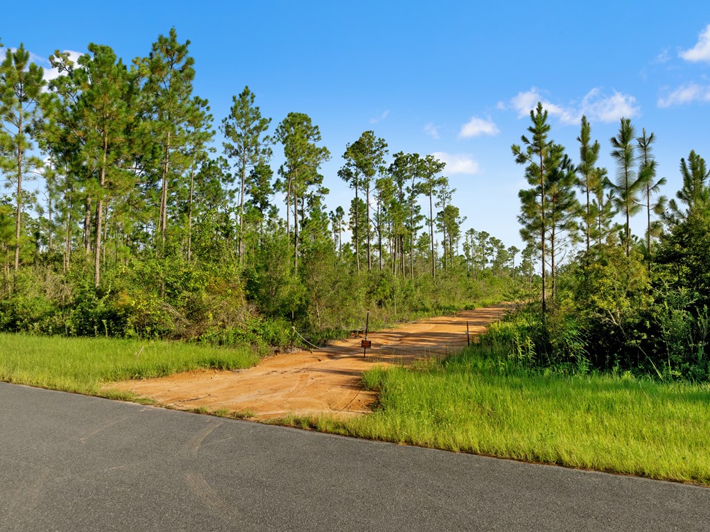 10320 Cowels Road Fountain, FL 32438 - Photo 14 of 22