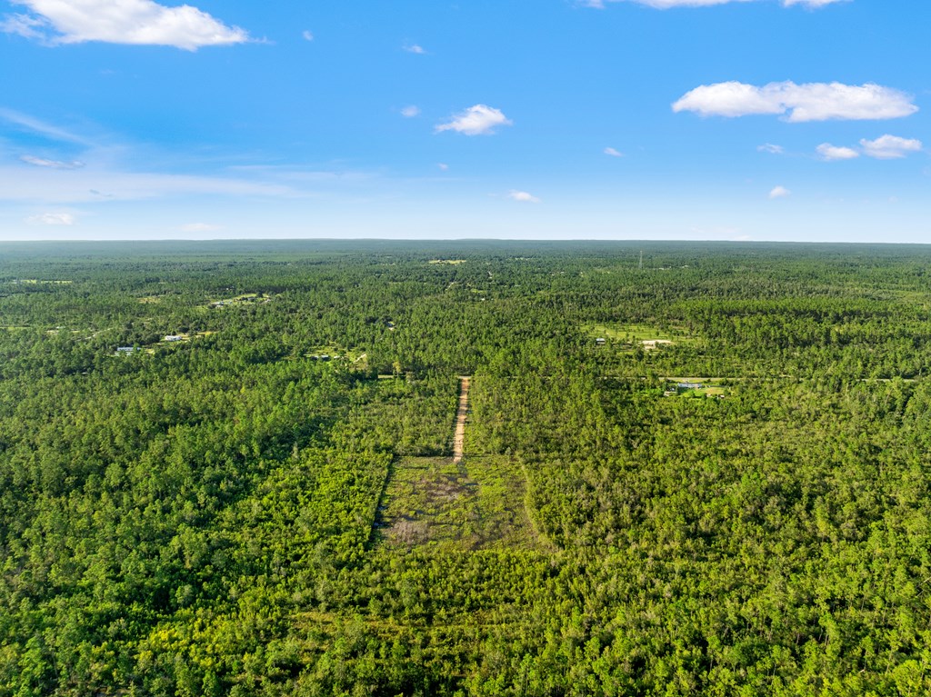 10320 Cowels Road Fountain, FL 32438 - Photo 16 of 22