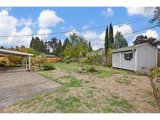a view of a big yard with table and chairs and a large tree