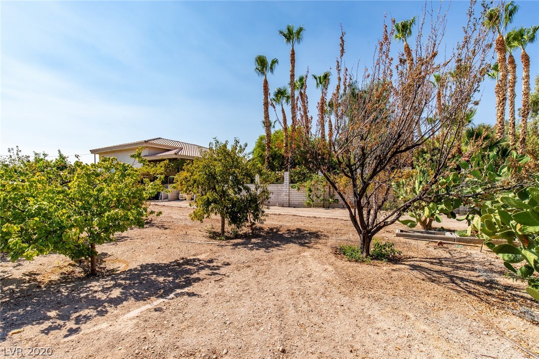 10710 Rancho Destino Road Las Vegas, NV 89183 - Photo 40 of 50 Gallery Image 40