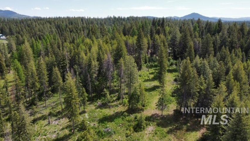 Tbd Old Avon Road Deary, ID 83823 - Photo 1 of 11