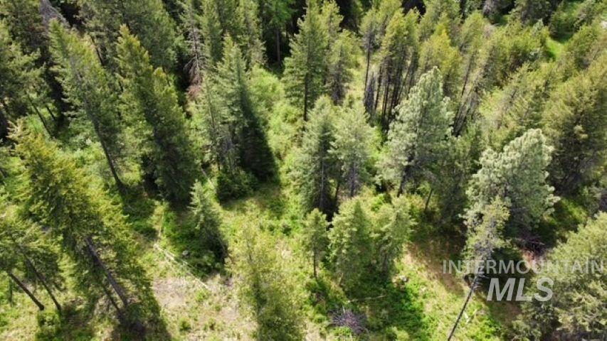 Tbd Old Avon Road Deary, ID 83823 - Photo 3 of 11