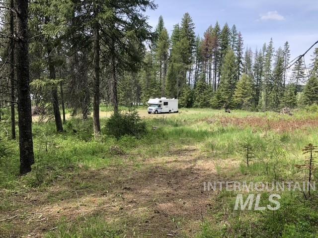 Tbd Old Avon Road Deary, ID 83823 - Photo 4 of 11