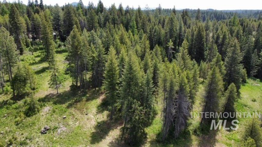 Tbd Old Avon Road Deary, ID 83823 - Photo 7 of 11