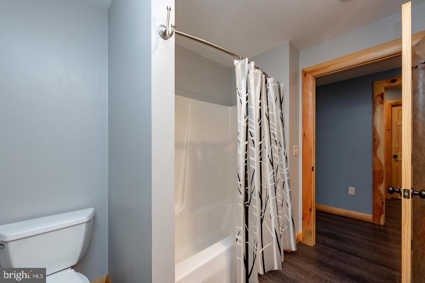 260 Biltmore Rdg Trail McHenry, MD 21541 - Photo 40 of 56