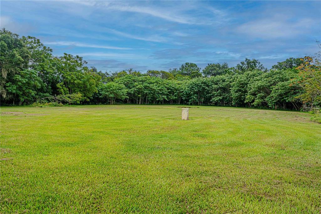 12615 Northwest Gainesville Road Reddick, FL 32686 - Photo 56 of 88 Gallery Image 56