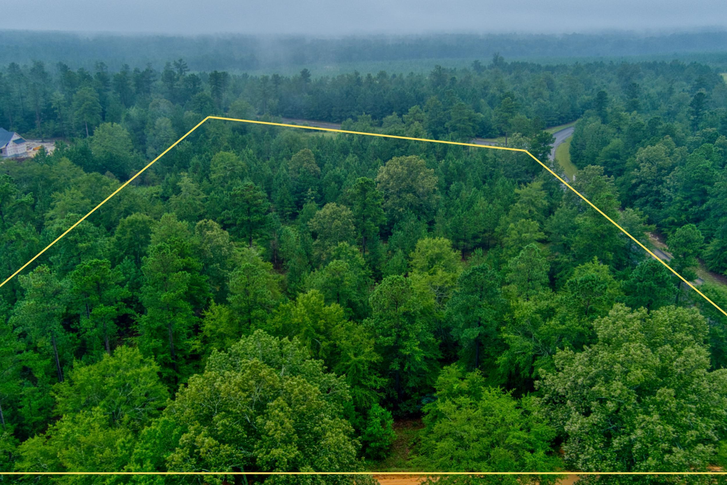 Lot 5 Cooks Pond Road Windsor, SC 29856 - Photo 3 of 23
