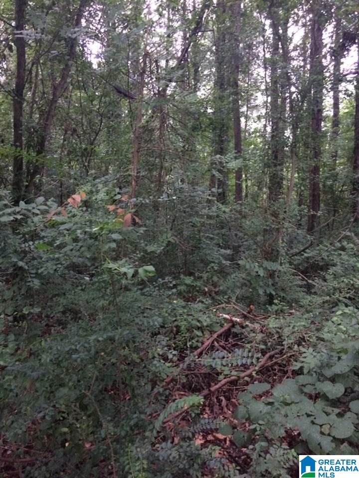 1701 Downs Road Mount Olive, AL 35117 - Photo 2 of 2