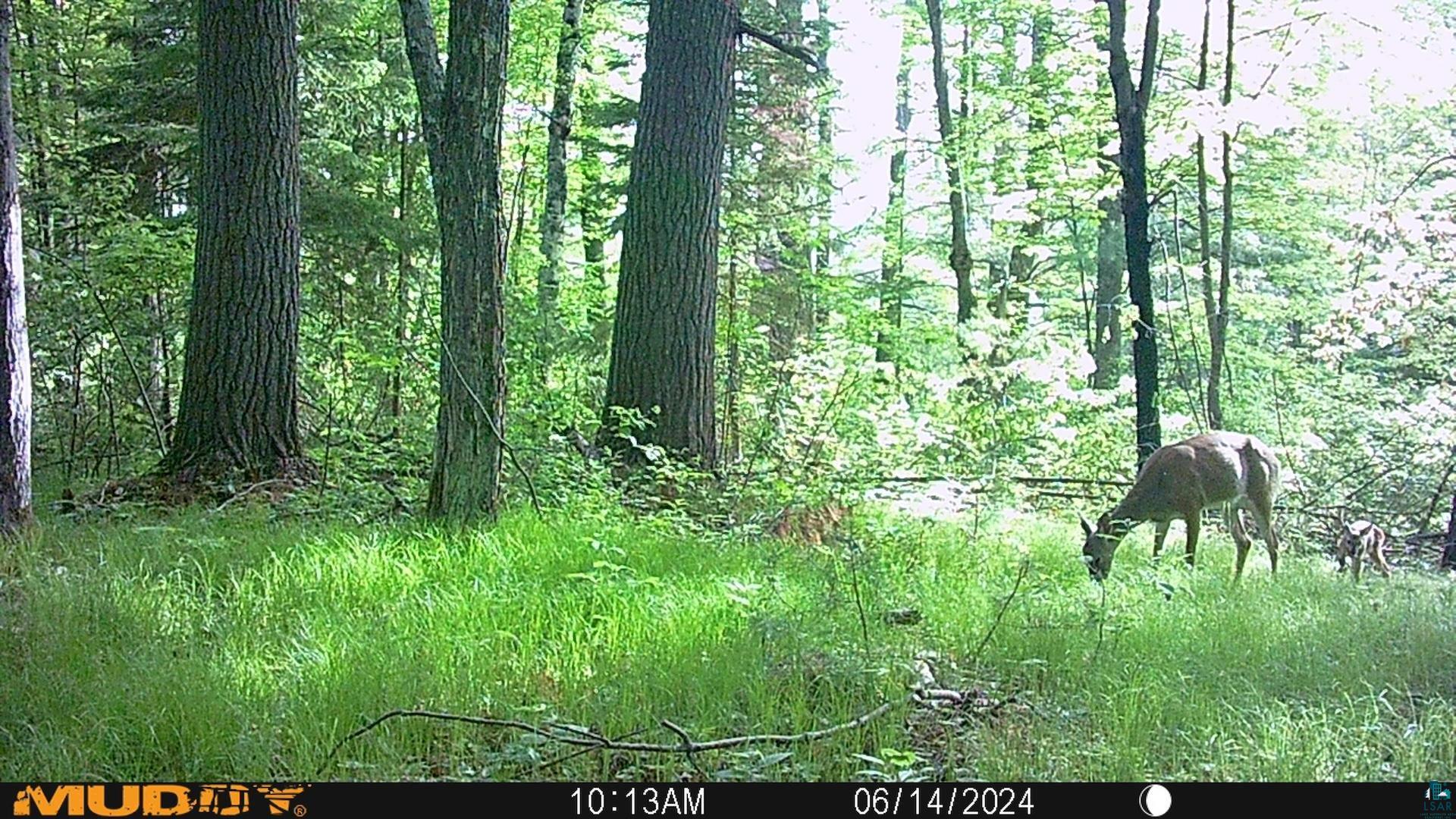 43725 Kavanaugh Road Cable, WI 54821 - Photo 52 of 55