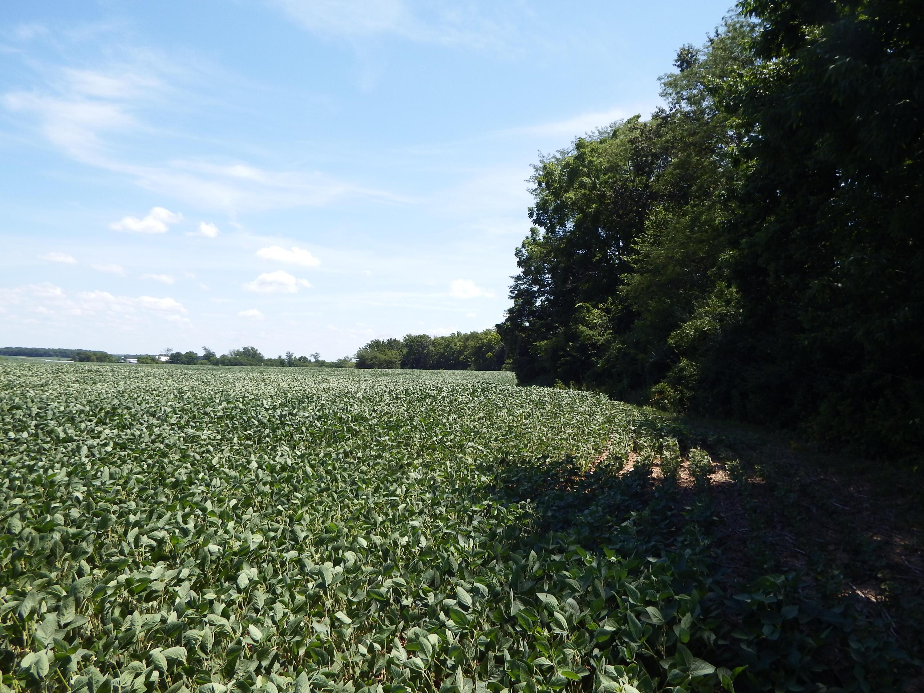 0 Smith Hulse Road Circleville, OH 43113 - Photo 28 of 28 DSCF5080