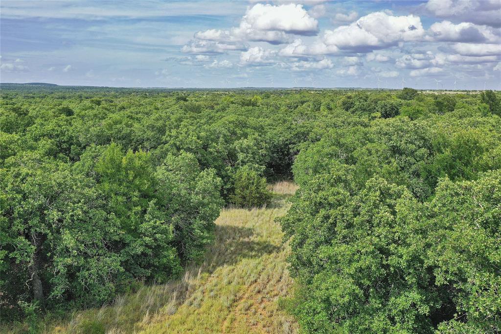 157-acres Nash Road Jacksboro, TX 76458 - Photo 14 of 40 Gallery Image 14