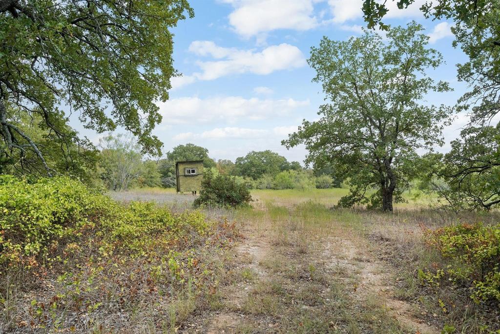 Lot 13 Double B Ranch Road South Perrin, TX 76486 - Photo 11 of 19 a view of a lake with lots of trees