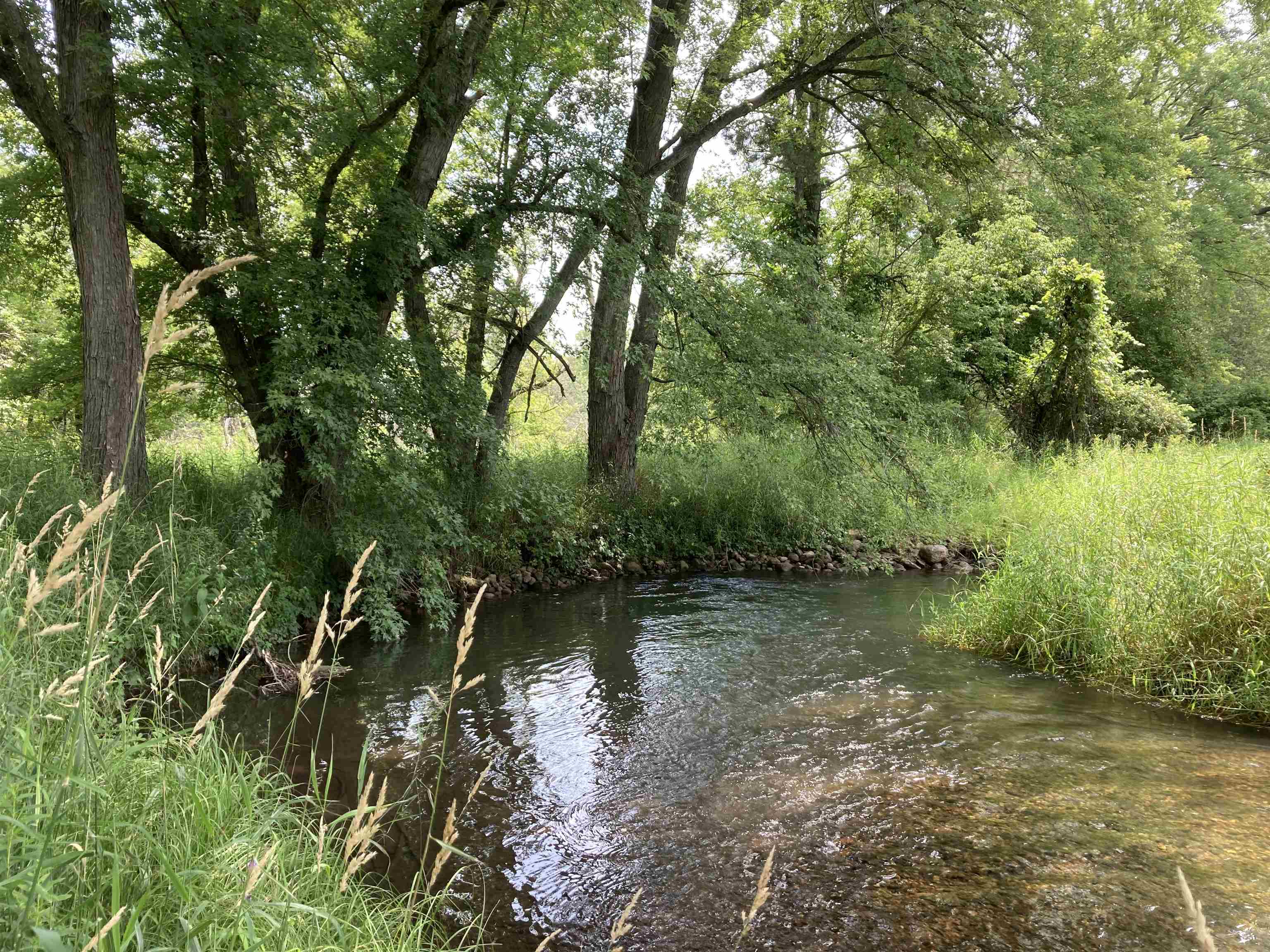 N/a Beachwood Road Rose City, MI 48654 - Photo 18 of 20 1947885-3C2FEFBA-D15F-4EFA-B690-57A7D7AFE0D7.JPG