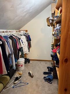 7366 Southeast 250 Road Collins, MO 64738 - Photo 26 of 33 Walk-in Closet