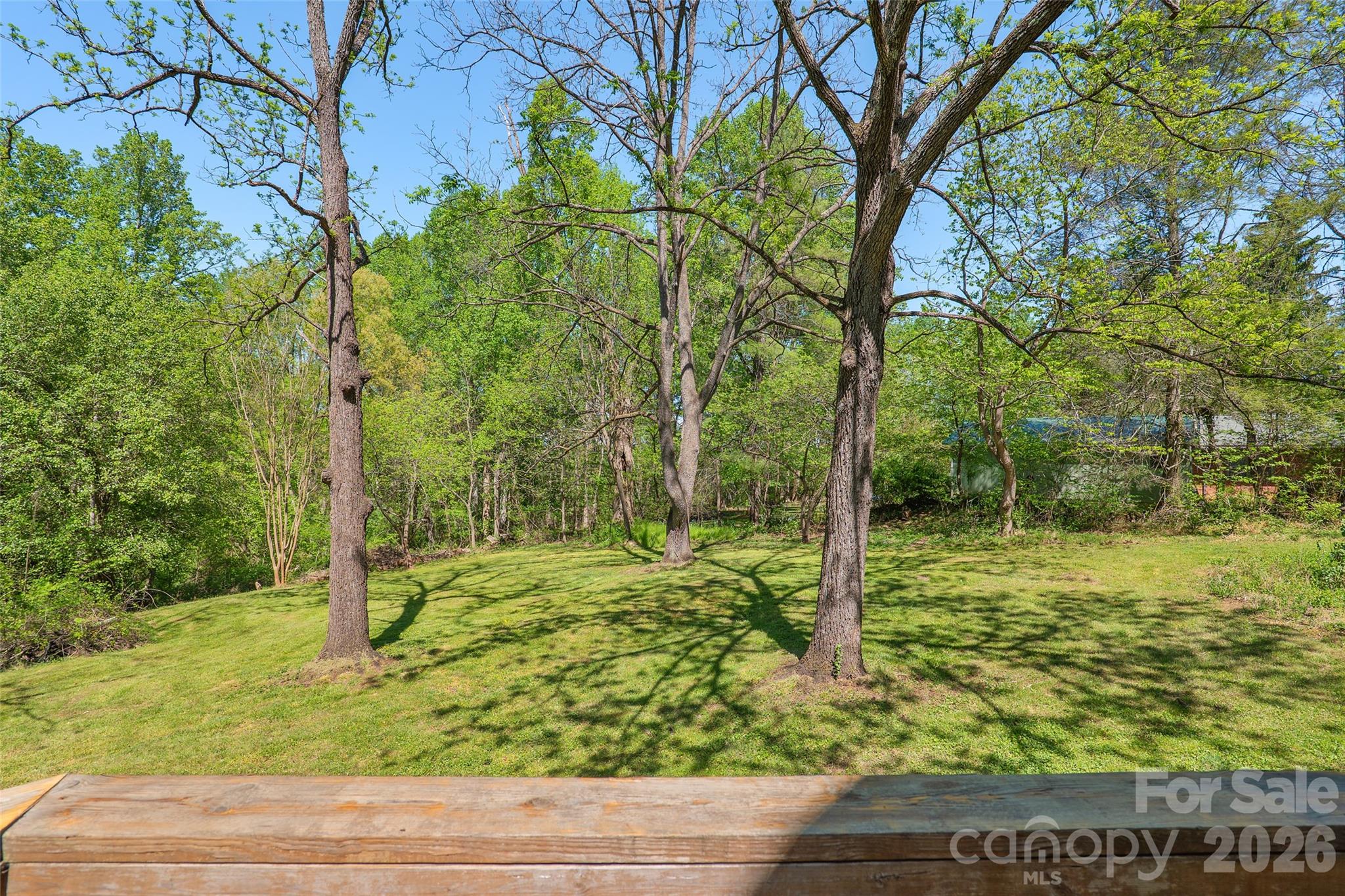 112 Candler School Road Candler, NC 28715 - Photo 20 of 37 a view of a yard with plants