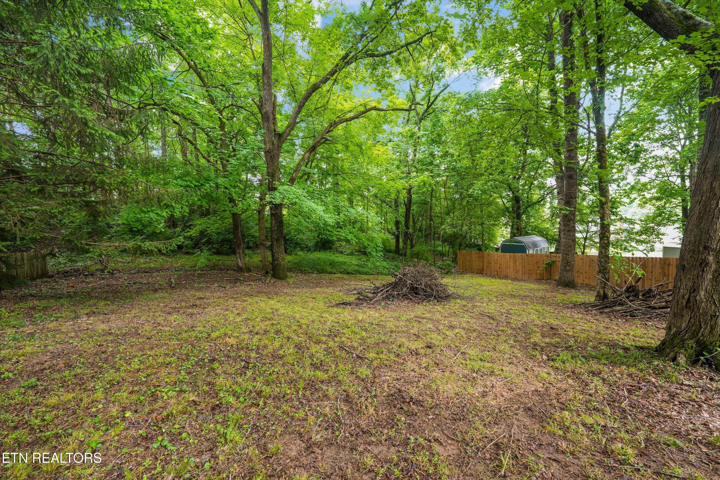 6607 Ridge Run Drive Knoxville, TN 37921 - Photo 31 of 33 32-6607 Ridge Run Dr 15