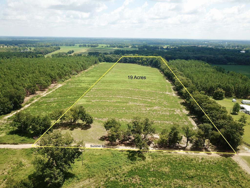 19-acres Summer Road Slocomb, AL 36375 - Photo 1 of 22